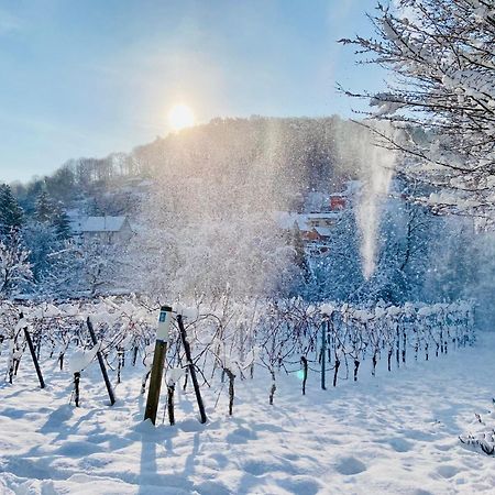 Halbstueck - Ferienwohnungen Am Kropsbachpark Sankt Martin Exteriör bild