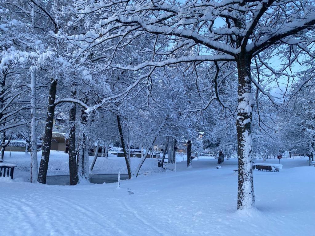 Halbstueck - Ferienwohnungen Am Kropsbachpark Sankt Martin Exteriör bild
